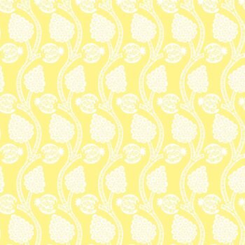 Angoori | Gauze | Lemon