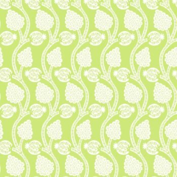Angoori | Gauze | Lime