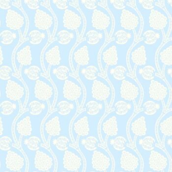 Angoori | Gauze | Sky