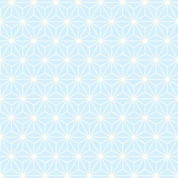 TARA| Gauze |SKY
