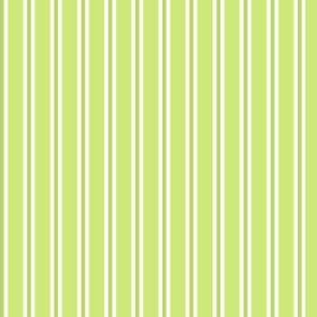 DHAARI| Gauze|LIME