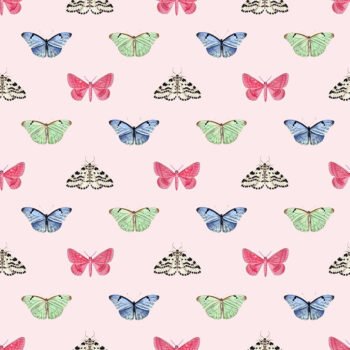 PAPILLON | BLUSH