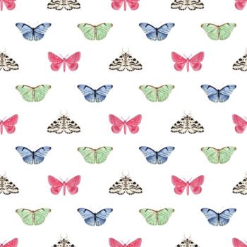 PAPILLON | SAND